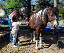 Preschool Students Meet New Friends on Hooves