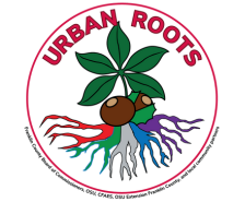 Urban Roots Partnership Promotes Immersive Learning Opportunities