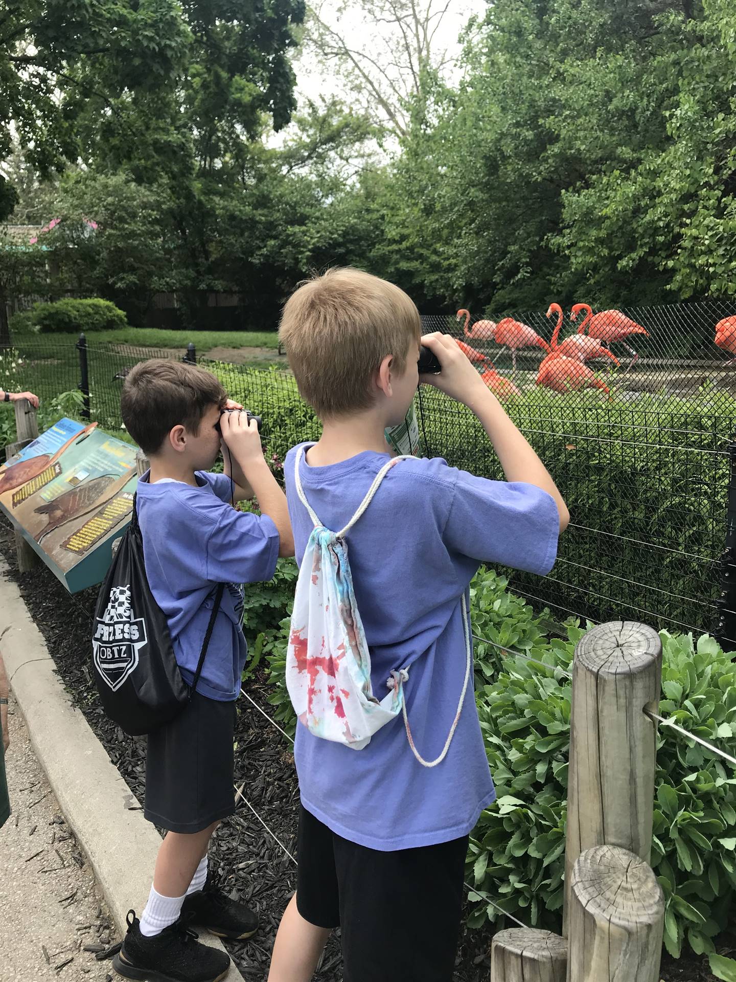 Zoo Trip