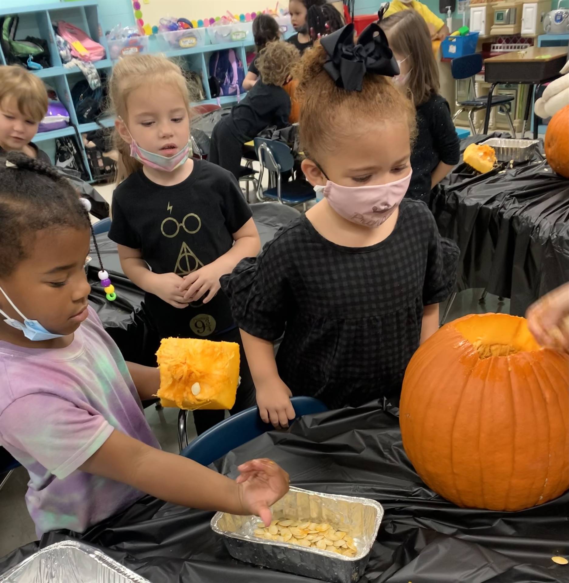 Harvest Parties