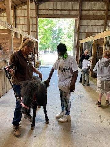 Horse Barn