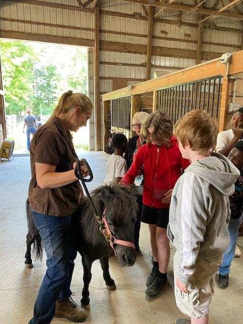 Horse Barn