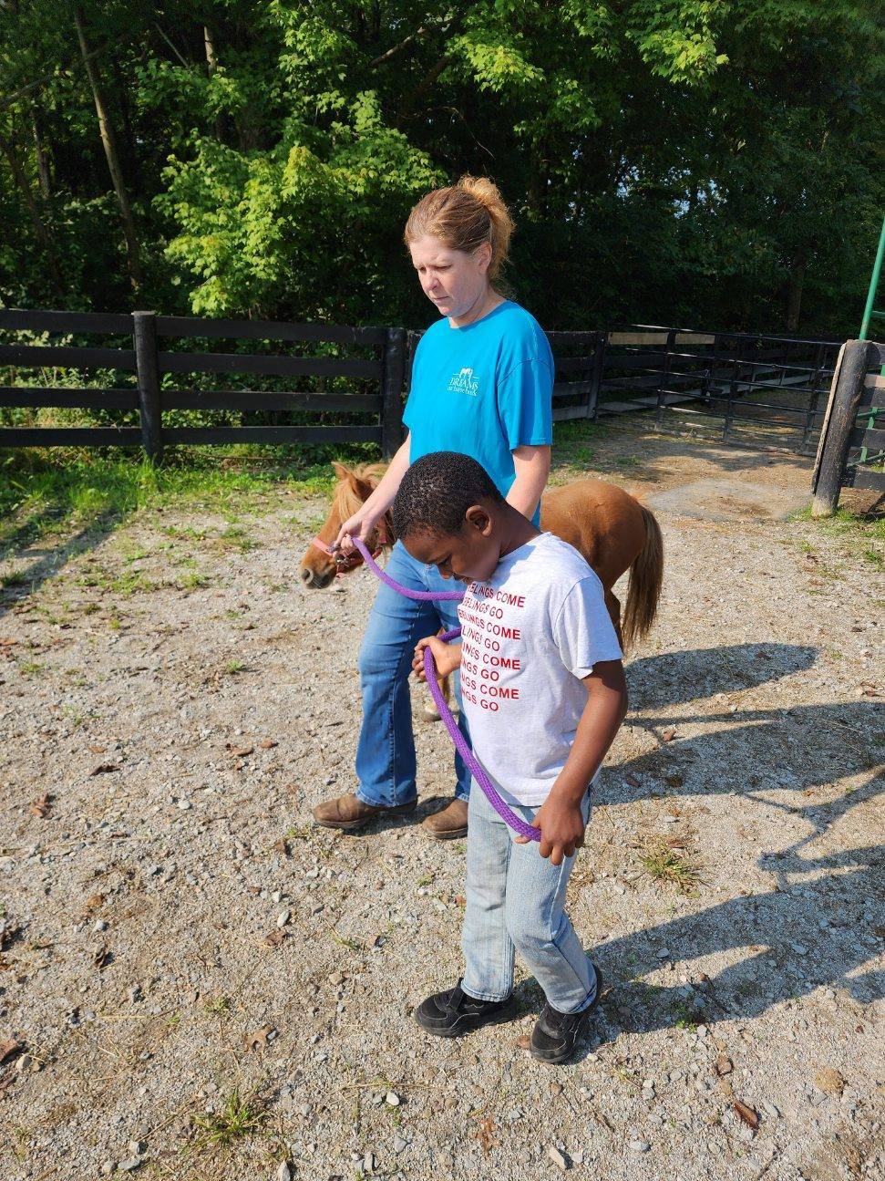 Horse Barn