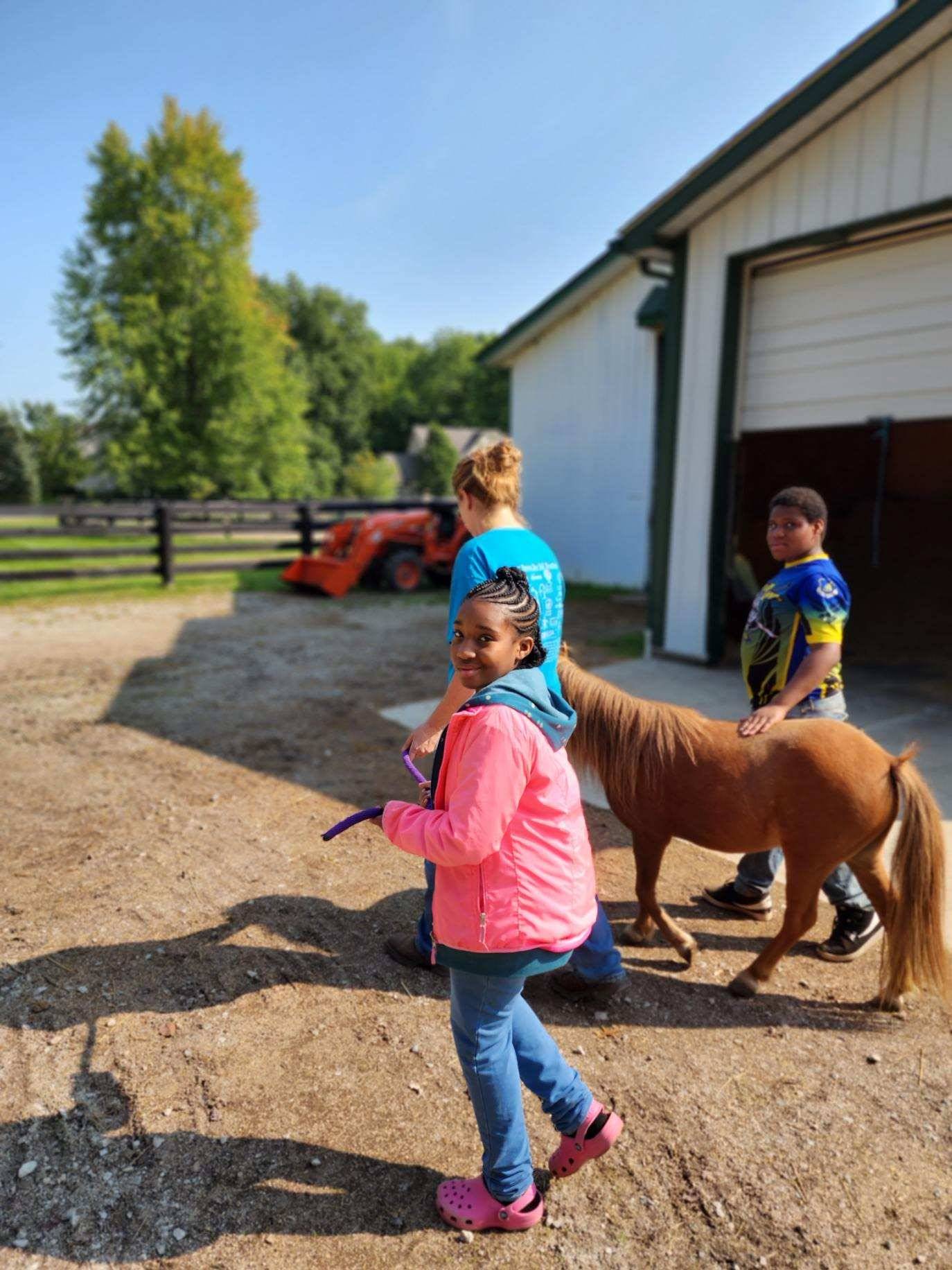 Horse Barn