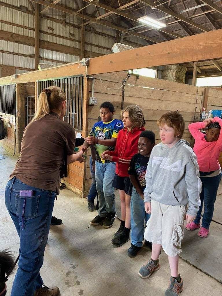 Horse Barn