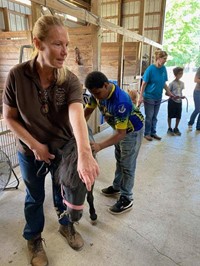 Horse Barn