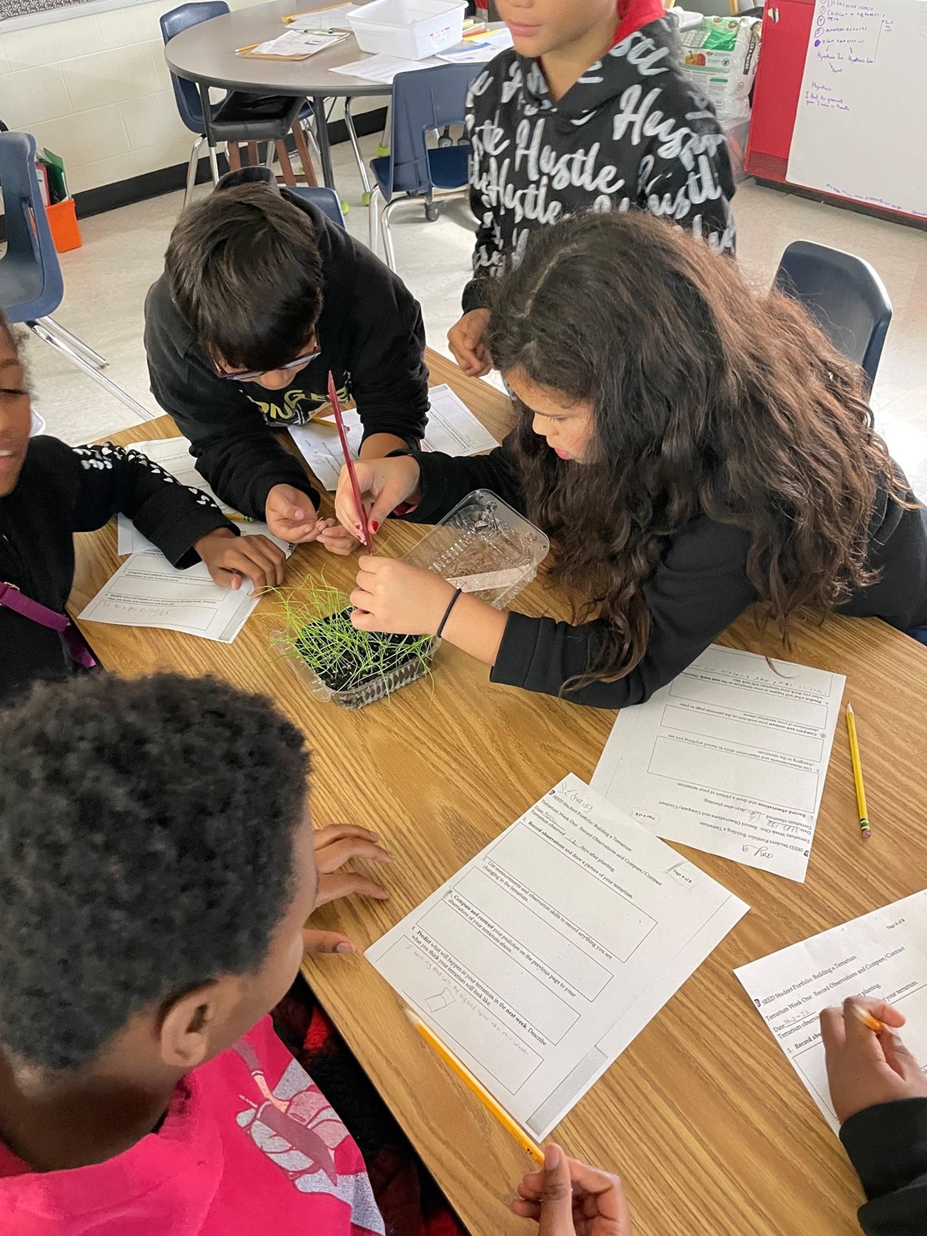 Students exploring terrariums