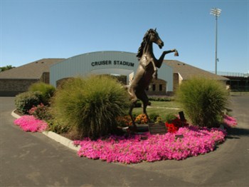 Statue of Cruiser